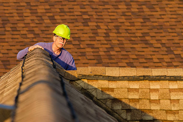 Roof Gutter Cleaning